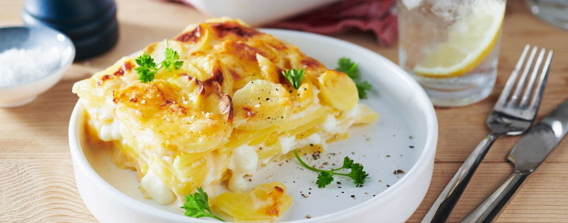 15 leckere Gratin Rezepte